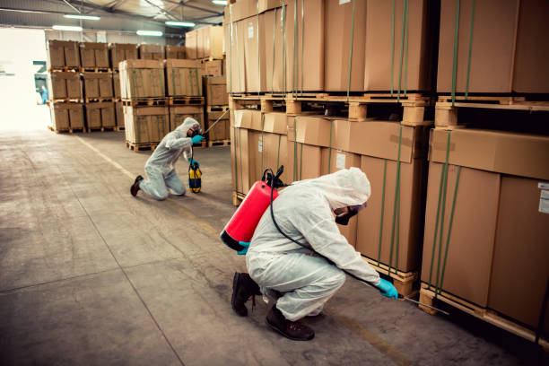 Pest Prevention Services in Strongsville, OH