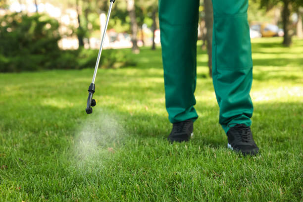 Best Mosquito Control Services  in Strongsville, OH