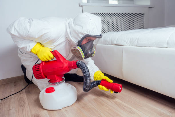 Best Flea Control Services  in Strongsville, OH