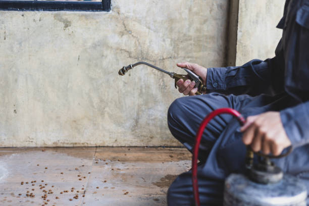 Best Residential Pest Control  in Strongsville, OH