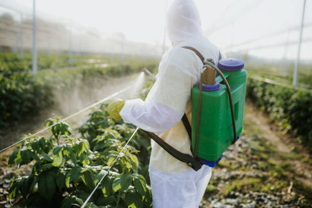 Best Ant Control Services  in Strongsville, OH